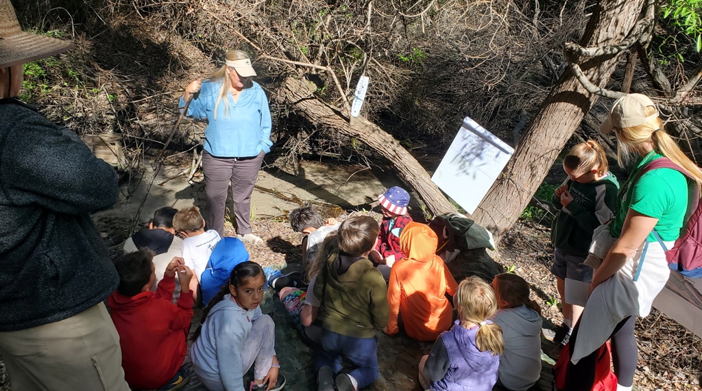 Spring station - what is the temperature of the water?